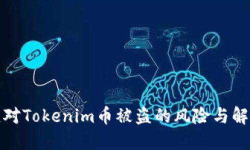 如何应对Tokenim币被盗的风险与解决方案