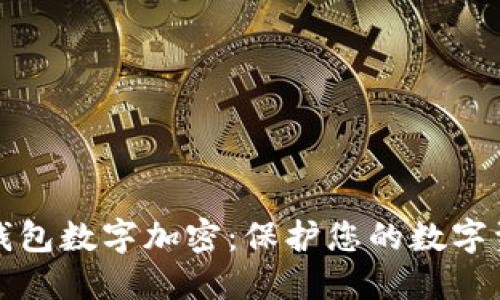 比特币钱包数字加密：保护您的数字资产安全