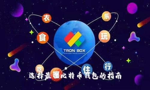 选择最佳比特币钱包的指南