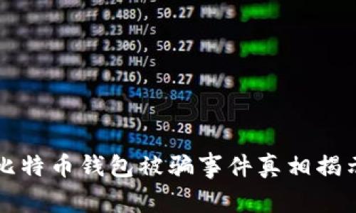 比特币钱包被骗事件真相揭示