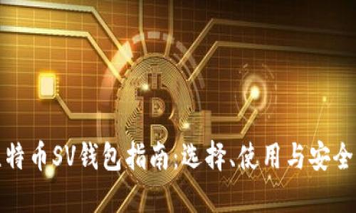 比特币SV钱包指南：选择、使用与安全性