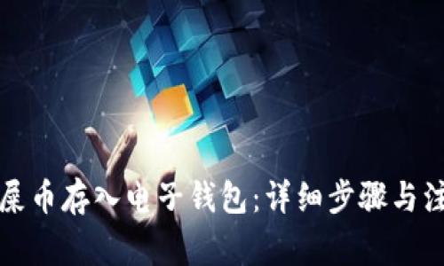 如何将屎币存入电子钱包：详细步骤与注意事项