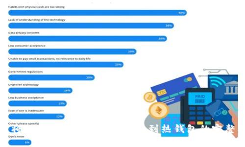 如何将Rave Link冷钱包转移到热钱包的完整指南