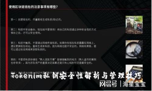 Tokenim私钥安全性解析与管理技巧