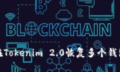 如何在Tokenim 2.0恢复多个钱