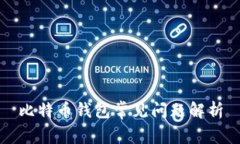 比特币钱包常见问题解析
