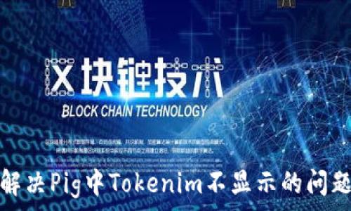 解决Pig中Tokenim不显示的问题