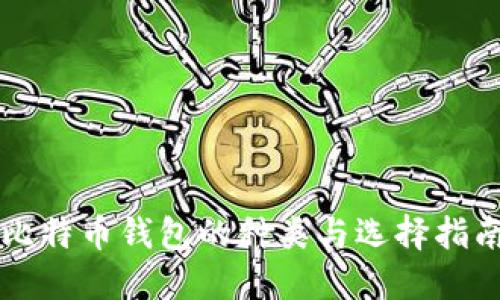 比特币钱包的种类与选择指南