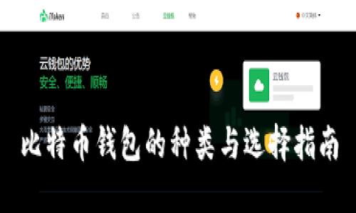 比特币钱包的种类与选择指南