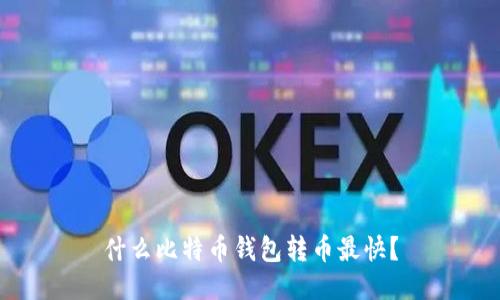 什么比特币钱包转币最快？