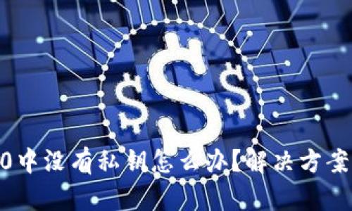 tokenim2.0中没有私钥怎么办？解决方案与操作指南