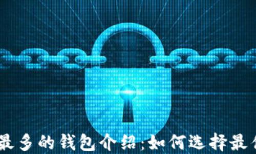 USDT最多的钱包介绍:如何选择最佳选择