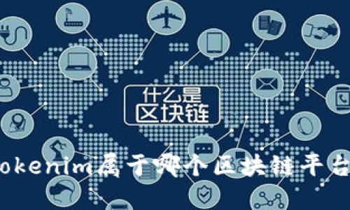 Tokenim属于哪个区块链平台?