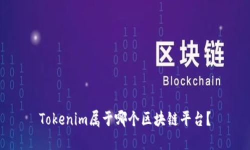 Tokenim属于哪个区块链平台?
