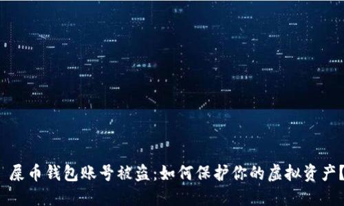 屎币钱包账号被盗:如何保护你的虚拟资产?