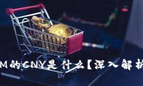 : TokenIM的CNY是什么?深入解析及其意义