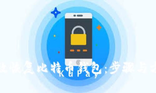 如何有效恢复比特币钱包:步骤与方法详解