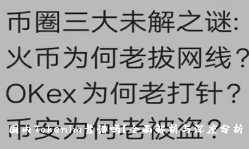 国内Tokenim靠谱吗?全面解析与深度分析