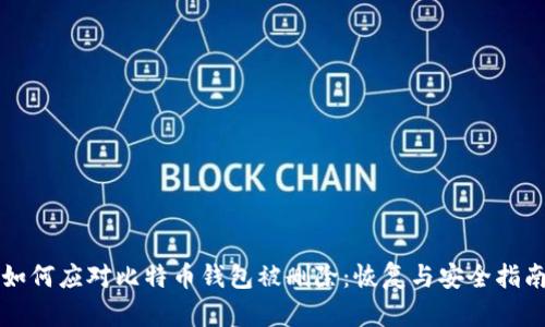 如何应对比特币钱包被删除:恢复与安全指南
