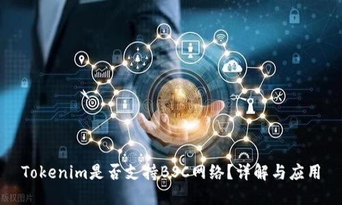 Tokenim是否支持BSC网络?详解与应用