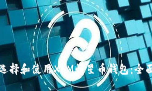 如何选择和使用XLM恒星币钱包:全面指南