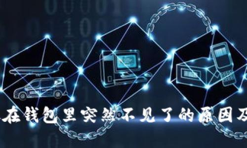 USDT币放在钱包里突然不见了的原因及解决方案