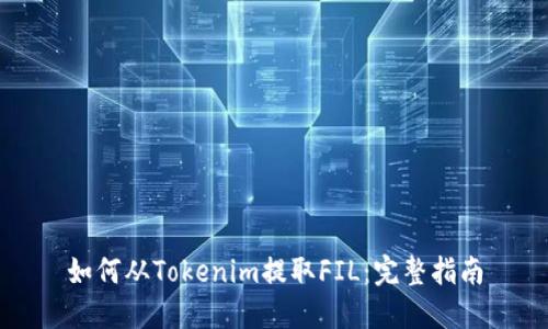 如何从Tokenim提取FIL:完整指南