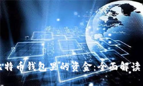 如何找回比特币钱包里的资金:全面解读与实用指南