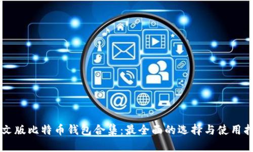 中文版比特币钱包合集:最全面的选择与使用指南