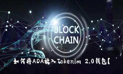 如何将ADA放入Tokenim 2.0钱包？