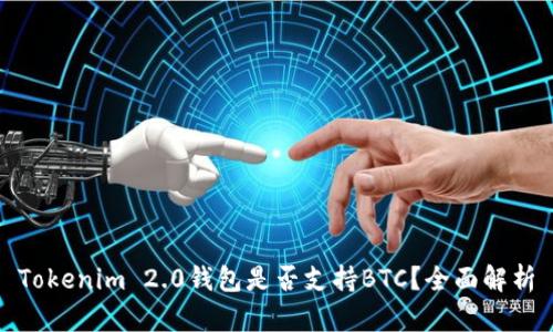 Tokenim 2.0钱包是否支持BTC？全面解析