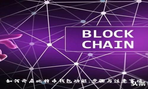 如何开启比特币钱包功能：步骤与注意事项