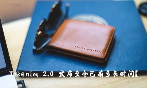 Tokenim 2.0 发布至今已有多长时间？