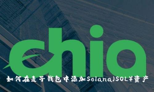 如何在麦子钱包中添加Solana（SOL）资产