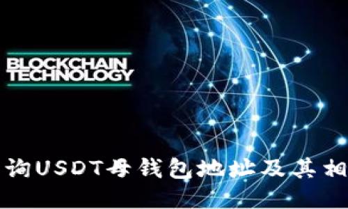 如何查询USDT母钱包地址及其相关信息
