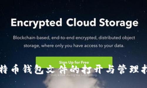 比特币钱包文件的打开与管理指南