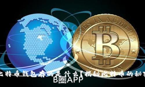 比特币钱包存的是什么？揭秘比特币的秘密