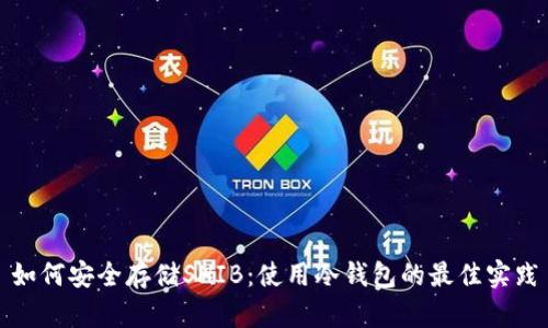 如何安全存储SHIB：使用冷钱包的最佳实践