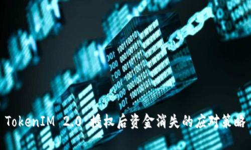 TokenIM 2.0 授权后资金消失的应对策略
