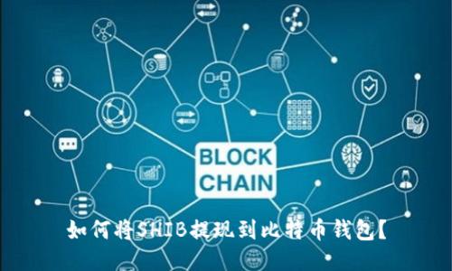 如何将SHIB提现到比特币钱包？