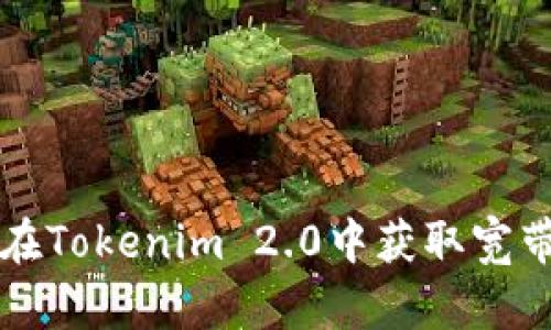 如何在Tokenim 2.0中获取宽带能量