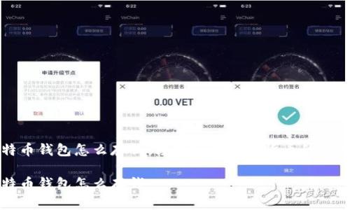比特币钱包怎么存钱：轻松入门数字货币的第一步

比特币钱包怎么存钱