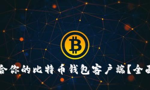 如何选择适合你的比特币钱包客户端？全面指南与推荐