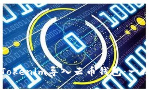 如何将Tokenim导入云币钱包：一站式指南