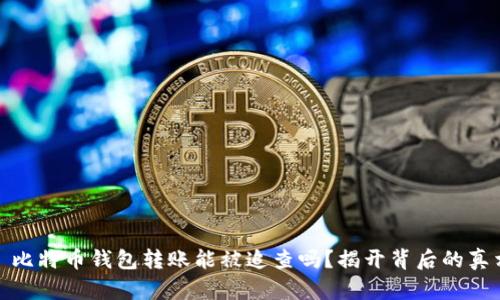 : 比特币钱包转账能被追查吗？揭开背后的真相