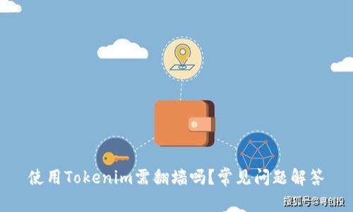 使用Tokenim需翻墙吗？常见问题解答