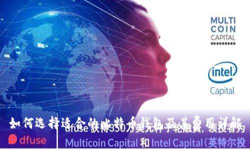 如何选择适合的比特币钱包及其费用详解