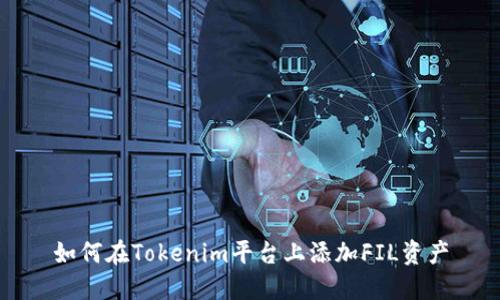 如何在Tokenim平台上添加FIL资产