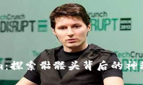 Tokenim：探索骷髅头背后的神秘与艺术