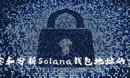 如何观察和分析Solana钱包地址的交易活动